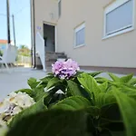 阿娜斯塔奇亚公寓 扎达尔