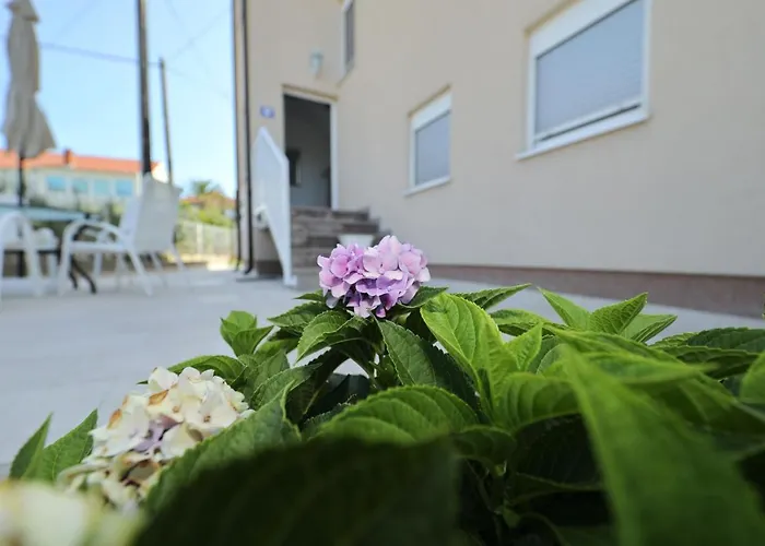 Anastazia Zadar